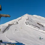 Fleissner Huette בקתה *