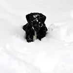 בקתה Fleissner Huette אינרקרמס