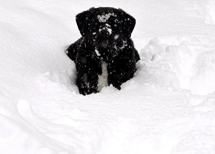 Σαλέ Fleissner Huette Innerkrems